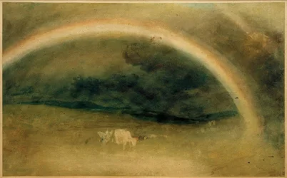 Een regenboog met vee